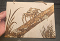 Jumping spider wall art
