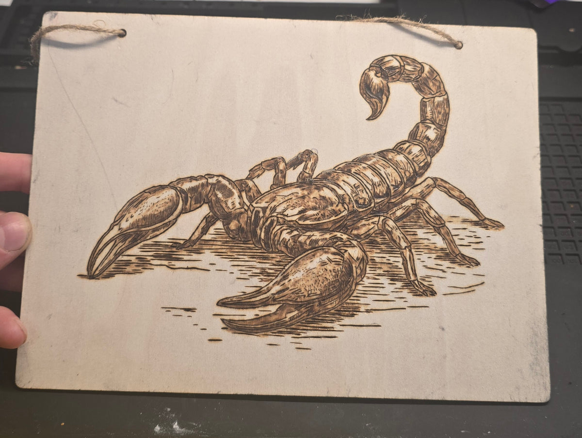 Scorpion wall art
