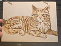 Cat wall art