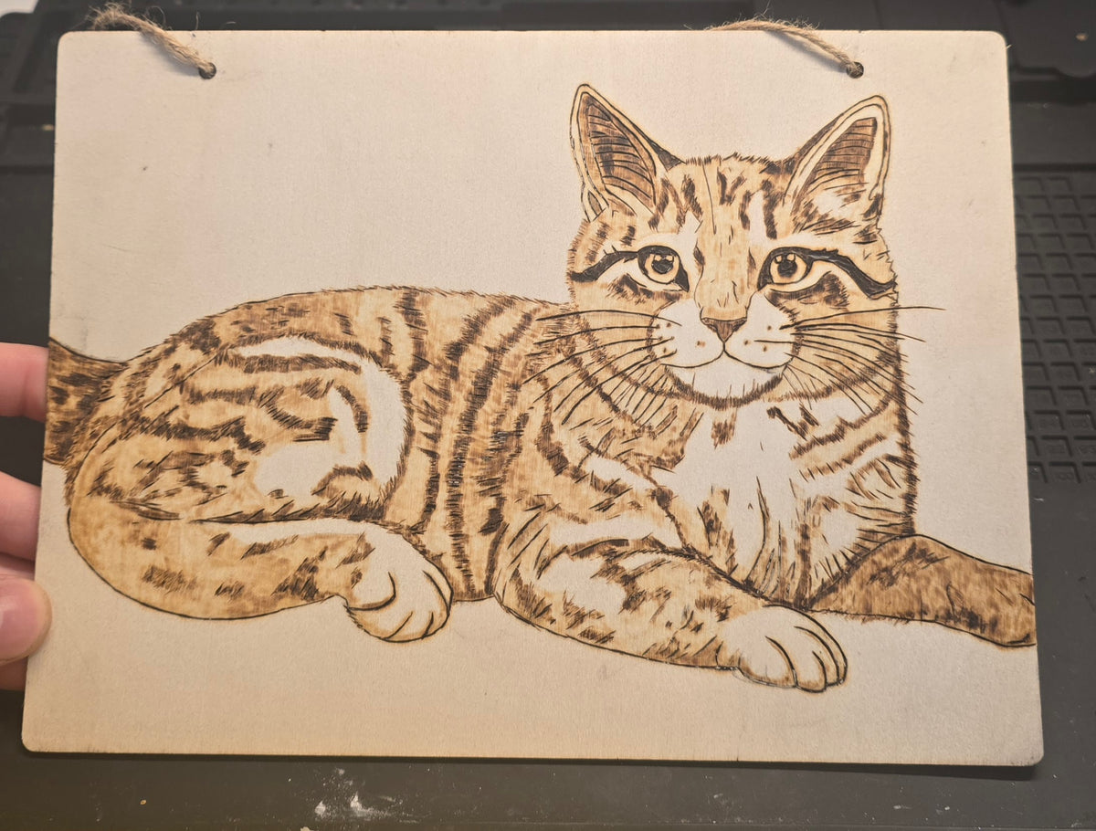 Cat wall art