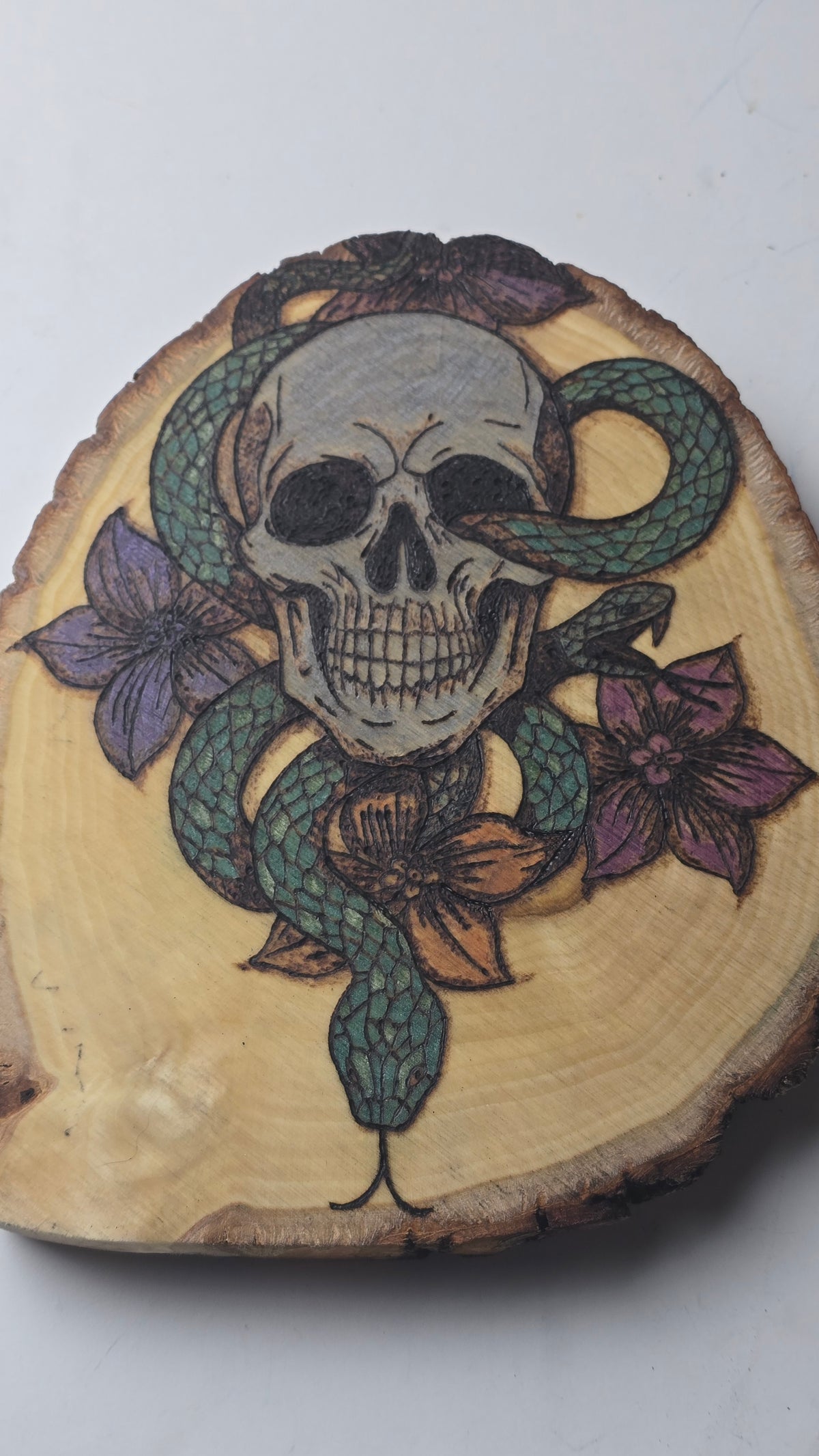 Skull and Snake (color)