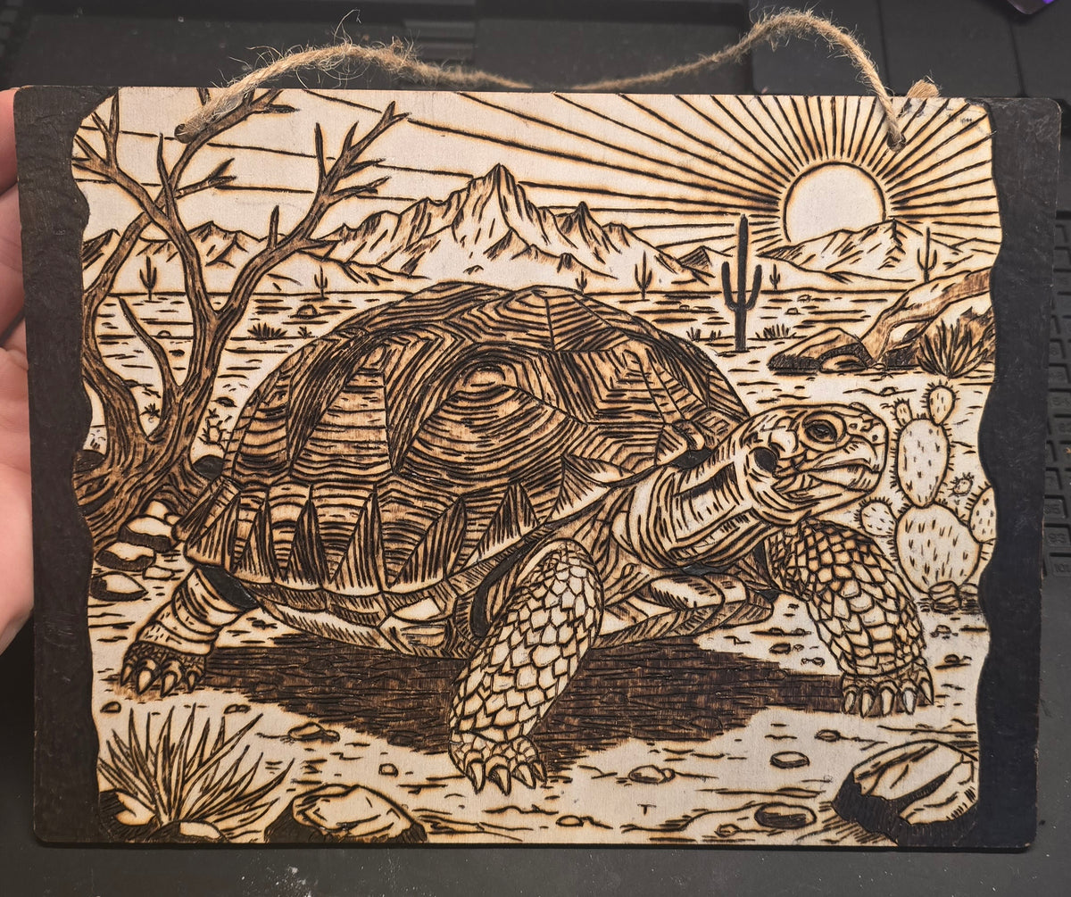 Tortoise wall art